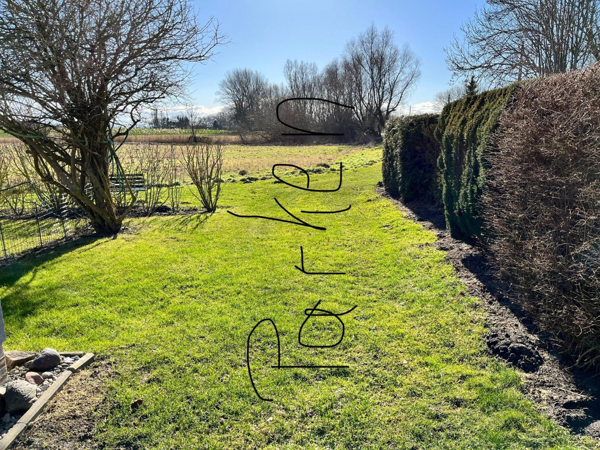 Thees Ummanz